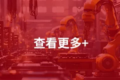 查看更多